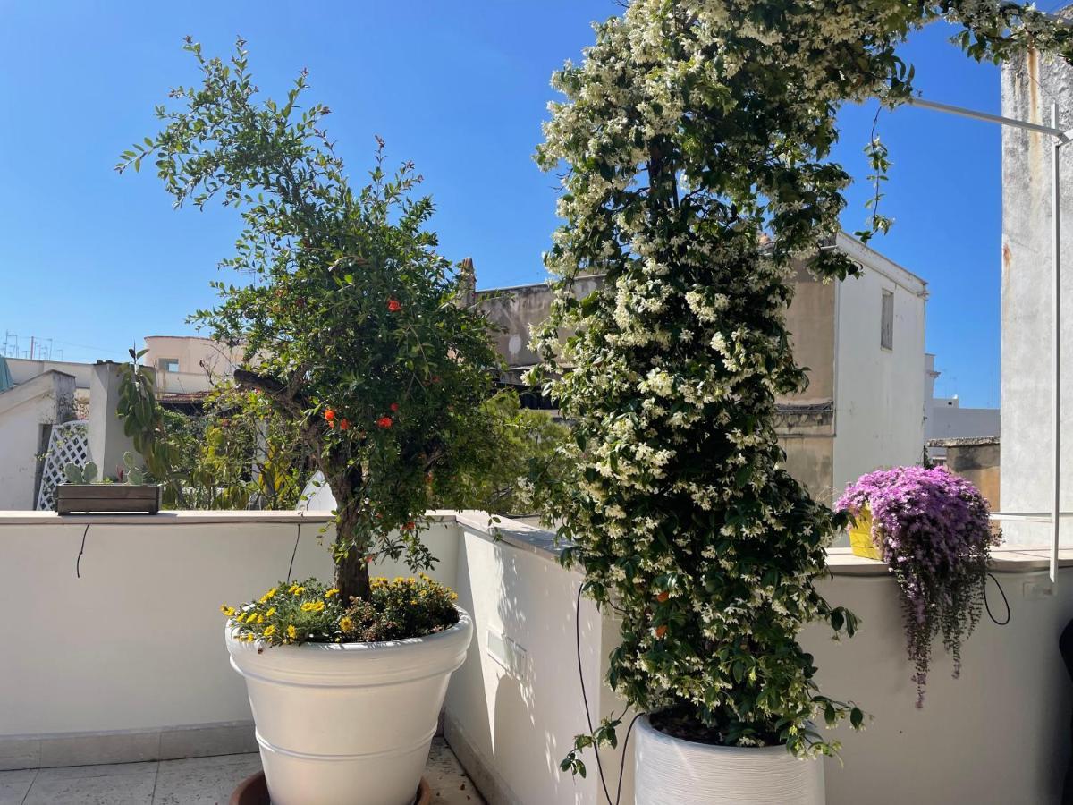 #Soloperte B&B Apartments Molfetta Exterior foto
